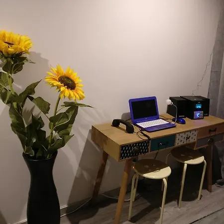 Pier Apartment Aveiro